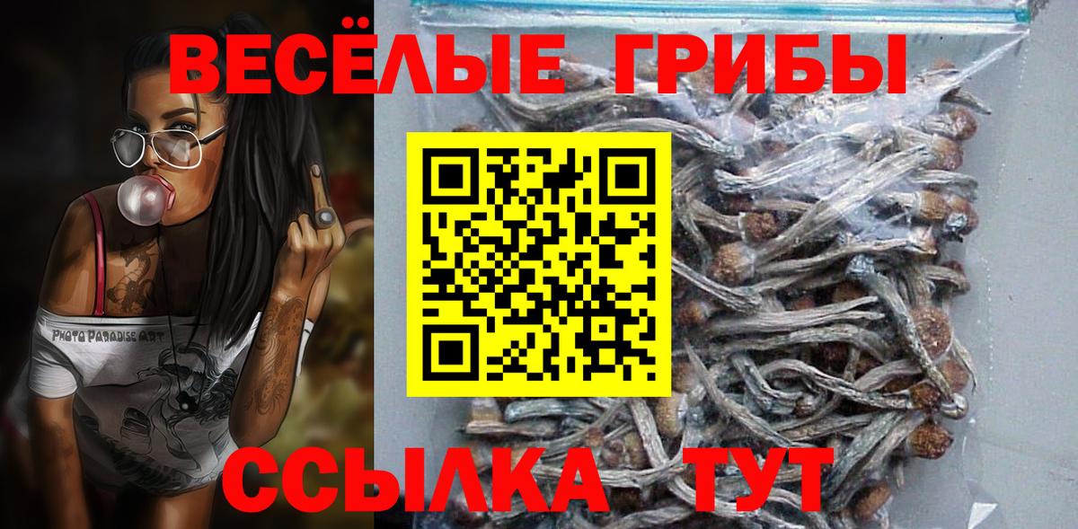Псилоцибиновые грибы прущие грибы Усолье-Сибирское