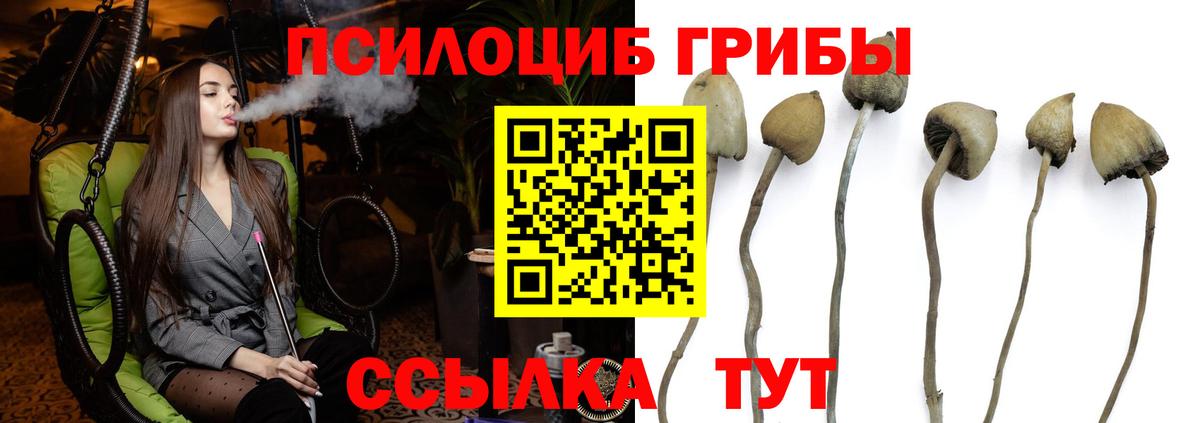 Усолье-Сибирское  Галлюциногенные грибы Magic Shrooms  Вход с VPN 